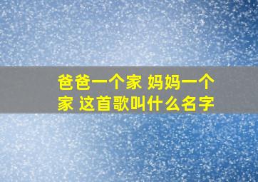 爸爸一个家 妈妈一个家 这首歌叫什么名字